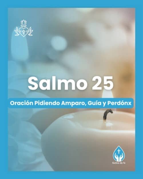 Salmo-25 Salmo 25. Serie 150 salmos para conmemorar el 350º aniversario de las revelaciones del Sagrado Corazón de Jesús a Santa Margarita María de Alacoque.