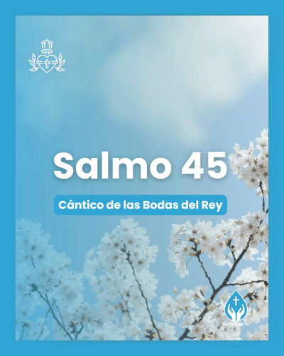 25 (1)