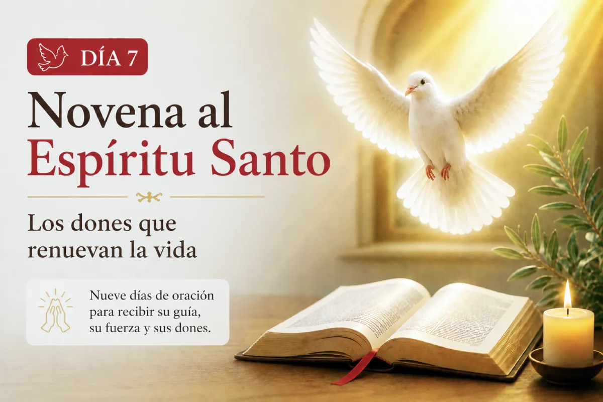 Novena al Espíritu Santo día 7 con paloma blanca, Biblia abierta y vela encendida, reflexión sobre los dones del Espíritu Santo que renuevan la vida.